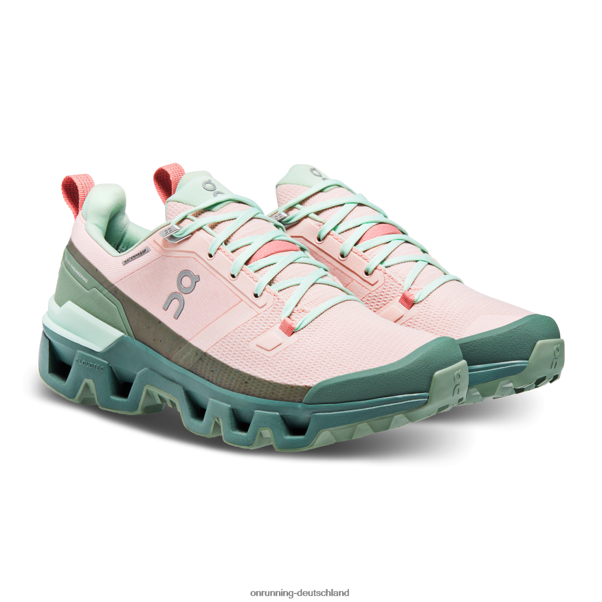 Frauen 4TJ86820 Reh/Efeu Cloudwander wasserdicht On Running